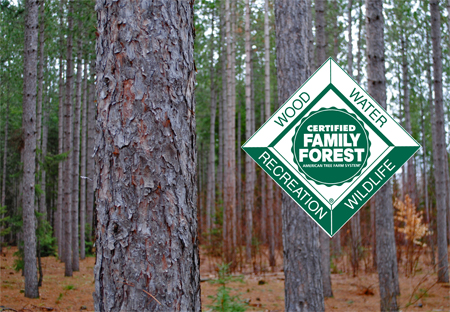 Upper Peninsula Tree Farm Group "The Sign of Good Forestry"  Welcome to Grossman Forestry Tree Farm Group of the Upper Peninsula of Michigan.  The American Tree Farm System has established a relatively new program called the American Tree Farm System, Group Certification Process.