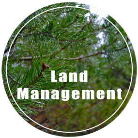 UP Land Management - Land Management in Upper Peninsula